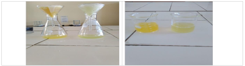 Screening Results of Pineapple and Melon Fruit Samples with Filter Paper